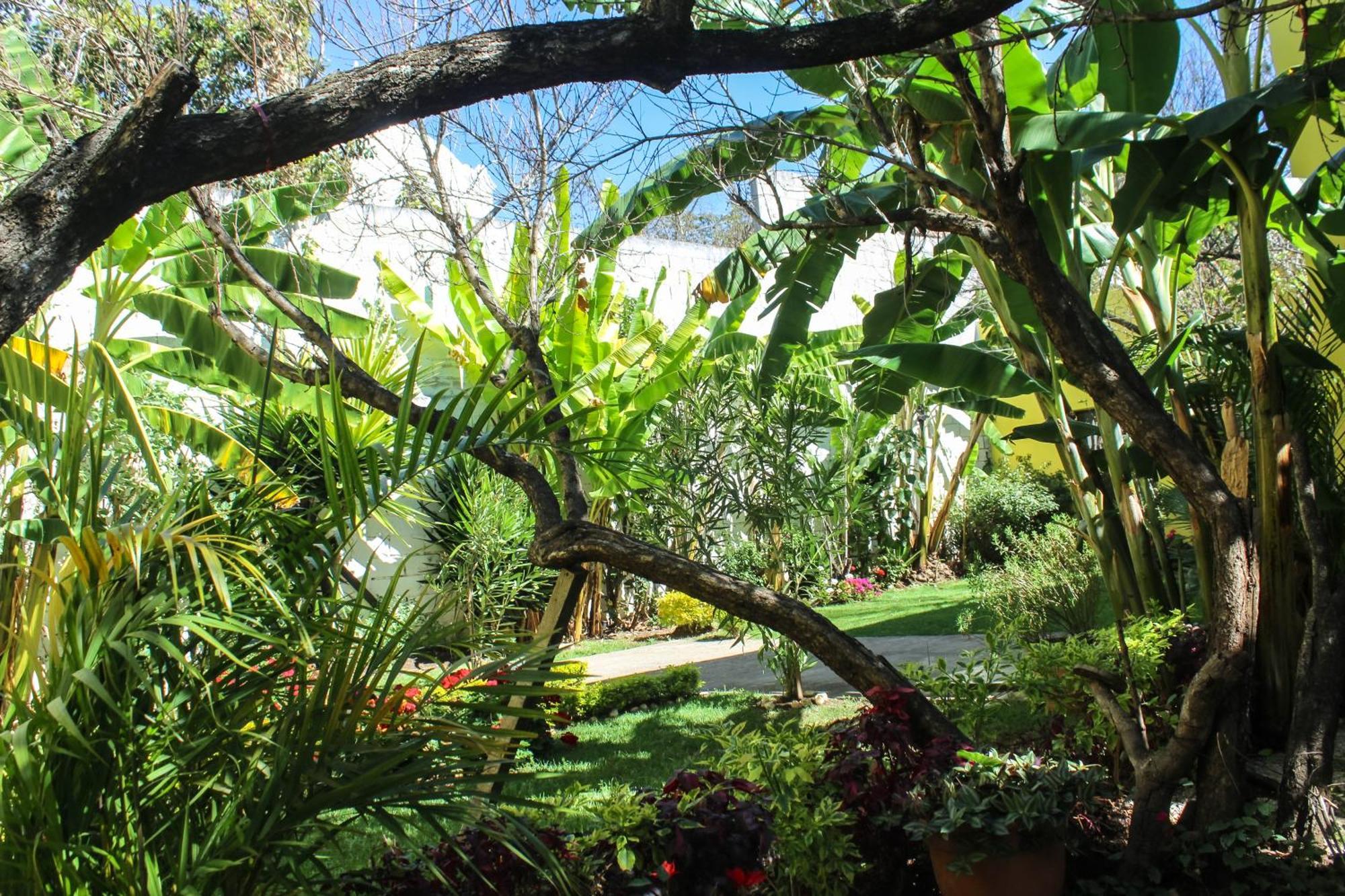 Jardines De Luz Hotel San Cristobal de las Casas Ngoại thất bức ảnh