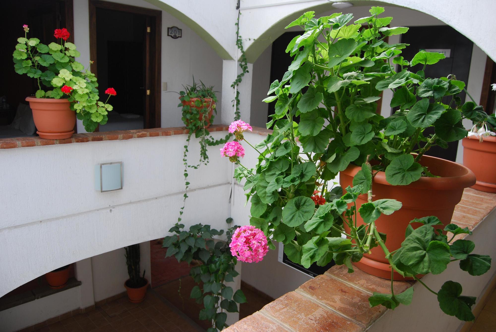Jardines De Luz Hotel San Cristobal de las Casas Ngoại thất bức ảnh